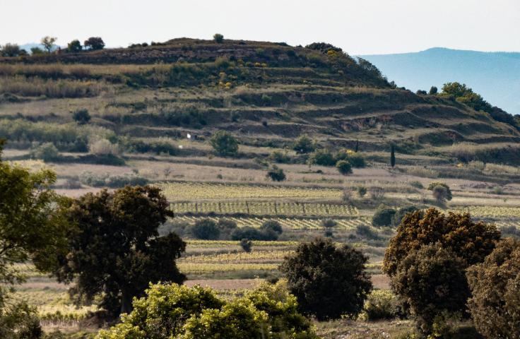 Restitution d’étude sur les dynamiques territoriales Restitution d’étude sur les dynamiques territoriales