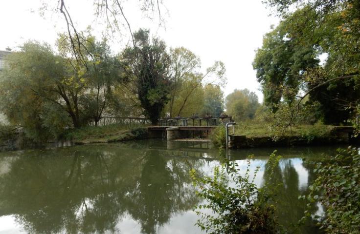 Pont sur une rivière avec des arbres