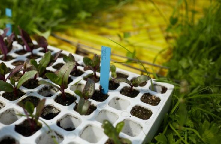 ESS, financement, entrepreneuriat social, coopération Mécanat