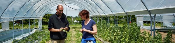 ESS, agriculture, alimentation, territoire, foncier S'installer paysan