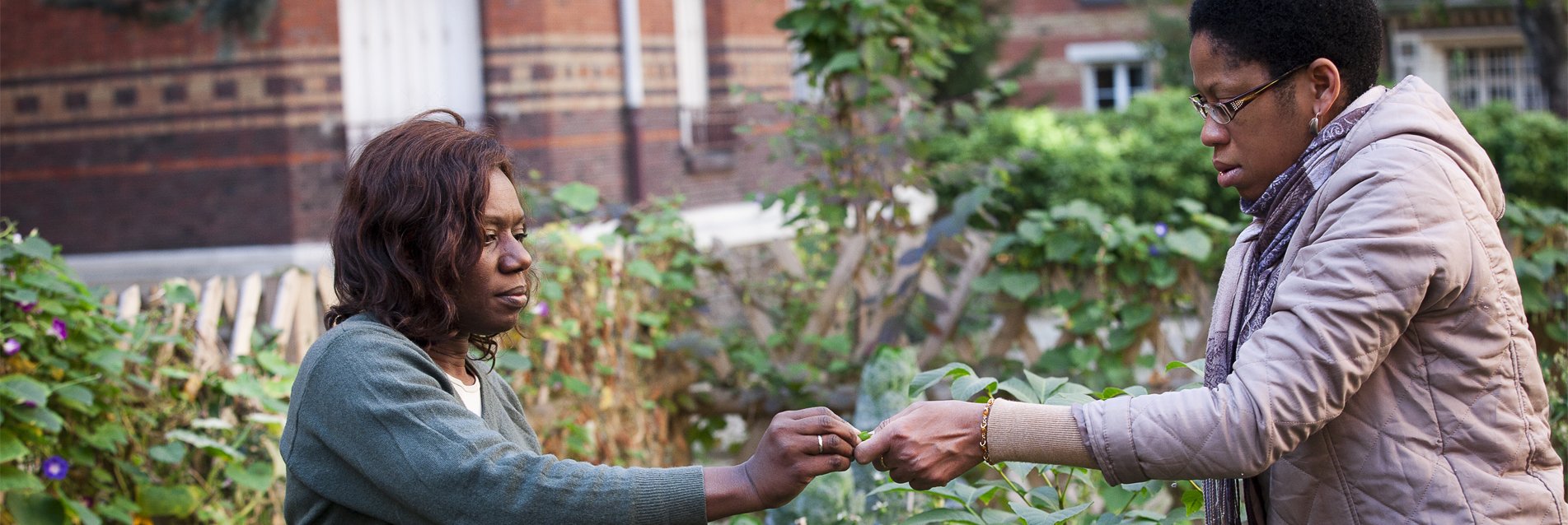 Deux femmes s'échangeant une plante