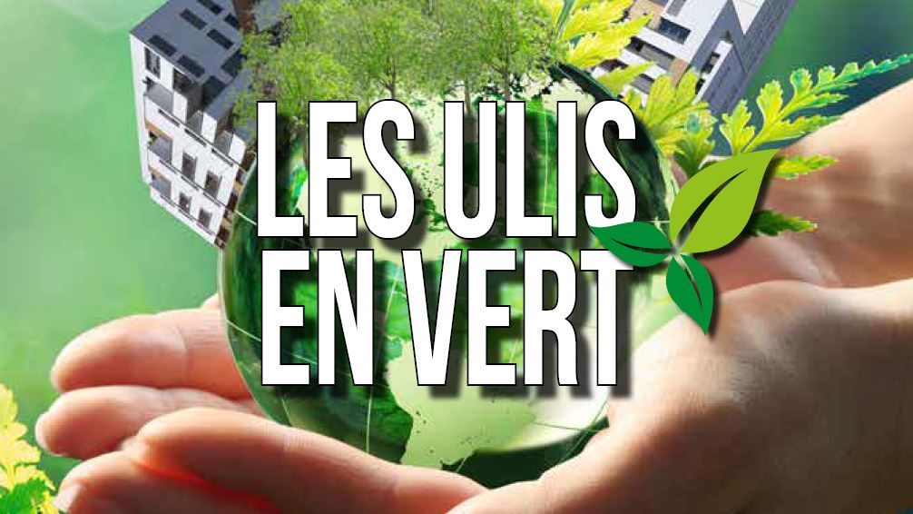 Festival les Ulis en Vert