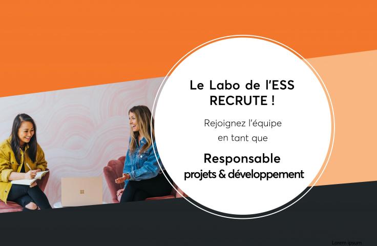 Responsable projets & développement