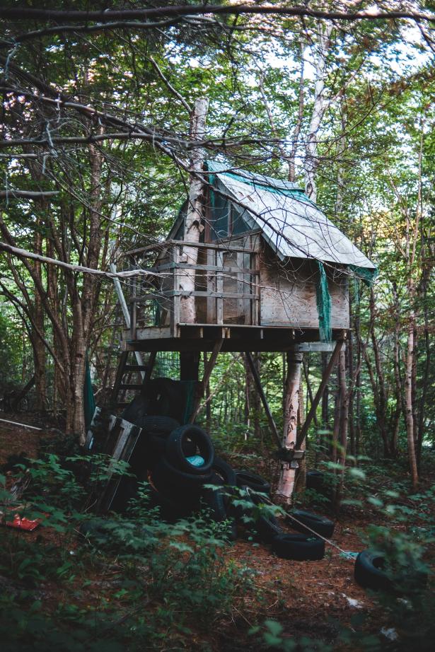 Cabane dans les arbres