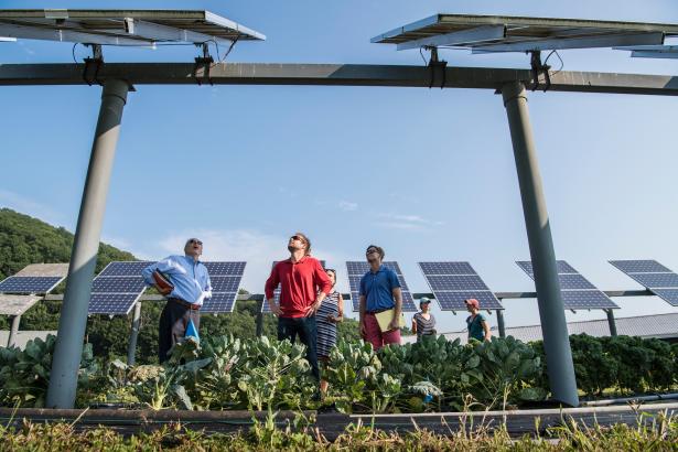 Groupe de personnes regardant des panneaux solaires dans un champs